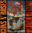 appetitefordestruction255b1255d.gif